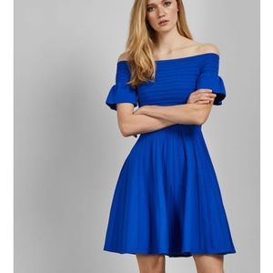 🍒NWT🍒 TED BAKER BARDOT SKATER DRESS
